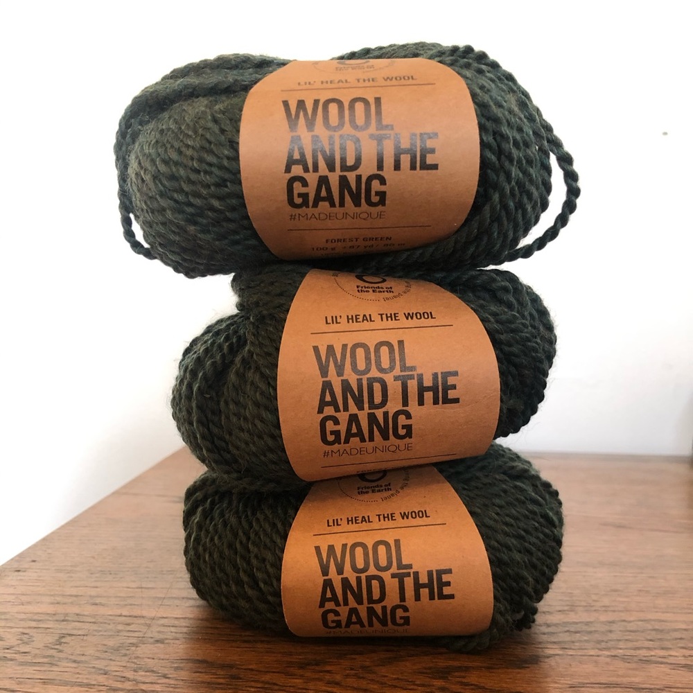 Wool and the Gang Lil’ Heal the Wool